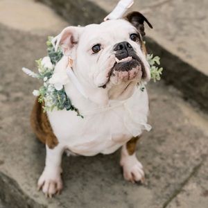 Ivory & green Flower Crown!! One size 🌸🌸